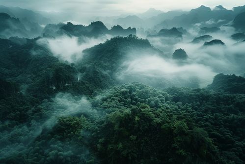 國內(nèi)旅游大美桂林?jǐn)z影圖 從光影捕捉到版權(quán)尊重的旅程